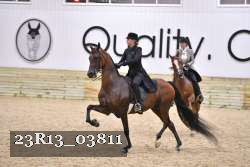 23R13_03811 thumbnail