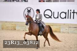 23R13_03812 thumbnail