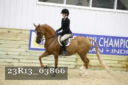 23R13_03866 thumbnail