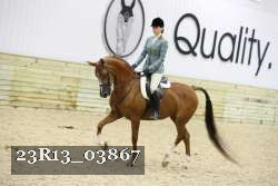 23R13_03867 thumbnail