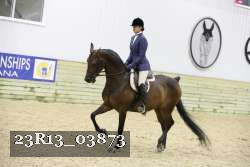 23R13_03873 thumbnail