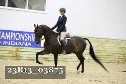 23R13_03875 thumbnail