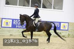 23R13_03876 thumbnail