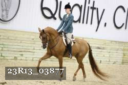 23R13_03877 thumbnail