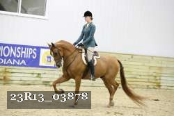23R13_03878 thumbnail