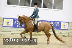 23R13_03879 thumbnail
