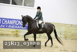 23R13_03880 thumbnail