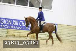 23R13_03881 thumbnail