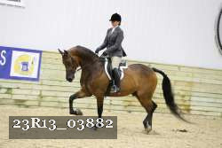 23R13_03882 thumbnail