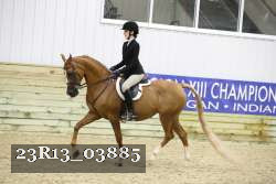 23R13_03885 thumbnail