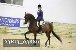 23R13_03886 thumbnail