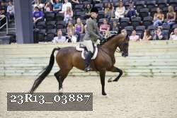 23R13_03887 thumbnail