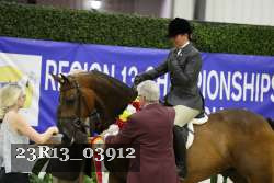 23R13_03912 thumbnail