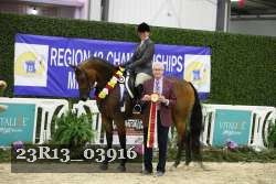 23R13_03916 thumbnail