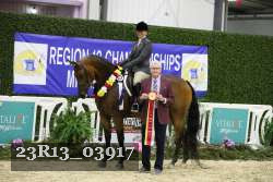 23R13_03917 thumbnail