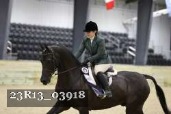 23R13_03918 thumbnail