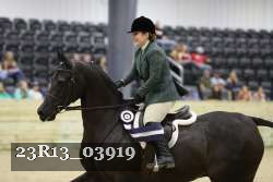 23R13_03919 thumbnail
