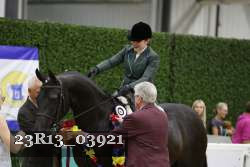 23R13_03921 thumbnail
