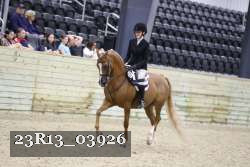 23R13_03926 thumbnail
