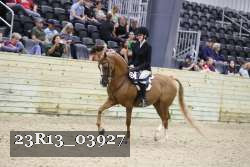 23R13_03927 thumbnail