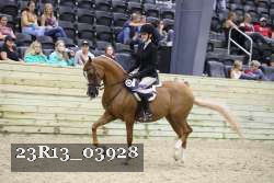 23R13_03928 thumbnail