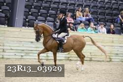 23R13_03929 thumbnail