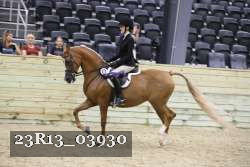 23R13_03930 thumbnail
