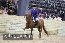 23R13_03931 thumbnail