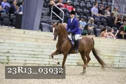 23R13_03932 thumbnail