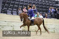 23R13_03933 thumbnail