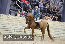 23R13_03935 thumbnail