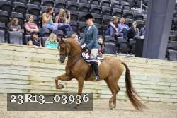 23R13_03936 thumbnail