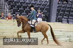 23R13_03937 thumbnail