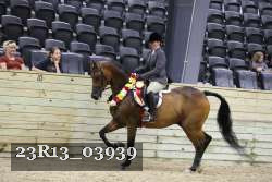 23R13_03939 thumbnail