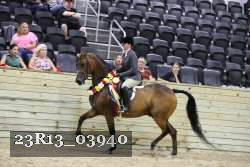 23R13_03940 thumbnail