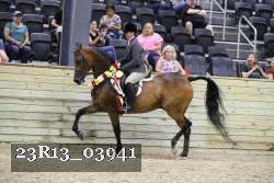 23R13_03941 thumbnail