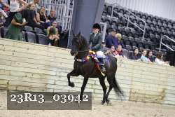 23R13_03942 thumbnail