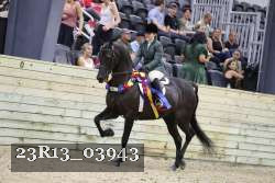 23R13_03943 thumbnail