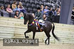 23R13_03944 thumbnail