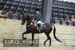 23R13_03945 thumbnail