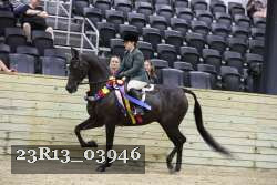 23R13_03946 thumbnail