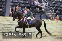 23R13_03947 thumbnail