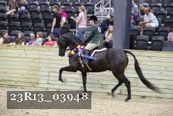 23R13_03948 thumbnail