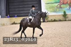 23R13_03949 thumbnail