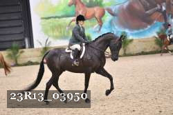 23R13_03950 thumbnail