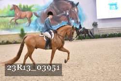 23R13_03951 thumbnail