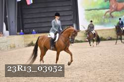 23R13_03952 thumbnail