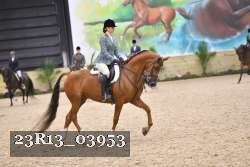 23R13_03953 thumbnail