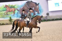 23R13_03954 thumbnail