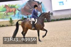 23R13_03956 thumbnail